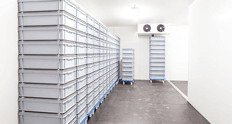 Pharmaceutical cold storage Pakistan — DRAP-compliant GMP cold room
