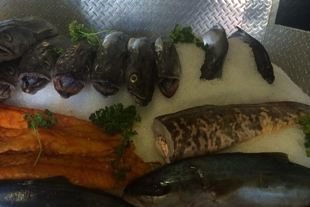 Marine boat cold storage — on-board fish refrigeration for Pakistani fishing vessels